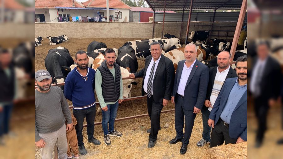 Hayvan aşıları ücretsiz yapılmalı