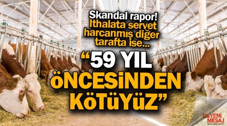 Hayvanclkta 59 yl ncesinden ktyz