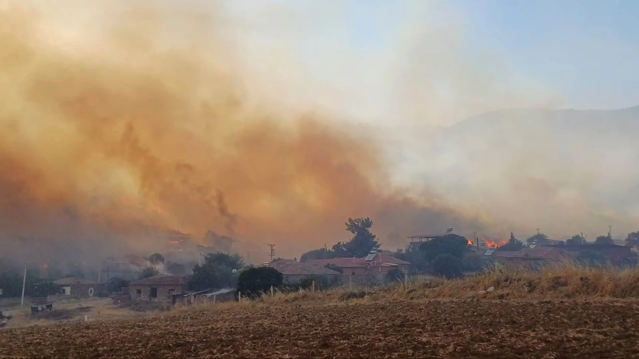 Haziranda orman yang�nlar� be�e katland�