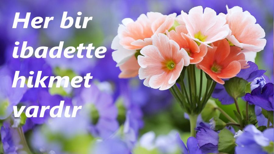 Her bir ibadette hikmet vardır