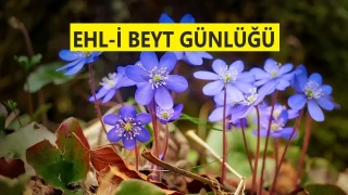 İmamını tanımadan ölenin vay haline!