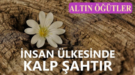 İnsan ülkesinde kalp şahtır