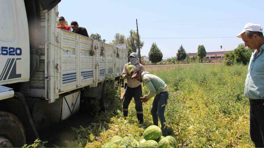 ilerin 40 derecede ekmek mcadelesi