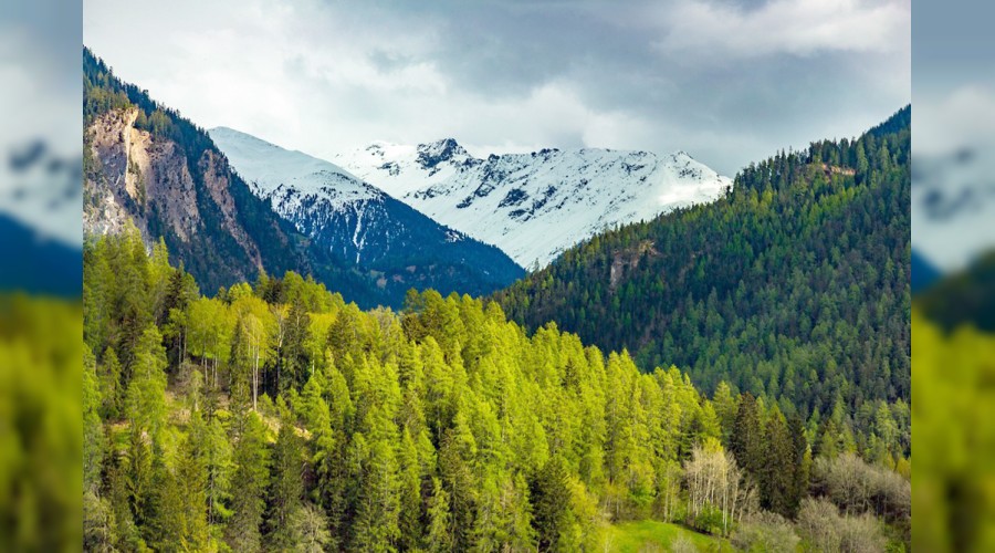 ��stedi�i yerden cennete girer�