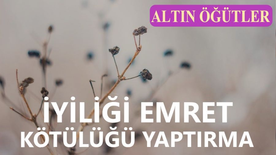 ‘İyiliği emret, kötülüğü yaptırma’