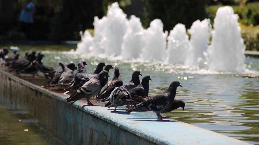İzmir'de hava sıcaklığı 40 dereceyi bulacak