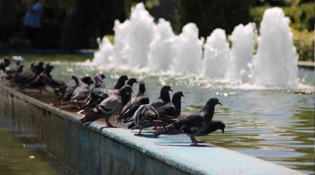 İzmir'de hava sıcaklığı 40 dereceyi bulacak