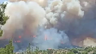 İzmir'deki orman yangınına ilişkin 1 zanlı tutuklandı