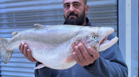 İznik Gölü'nde 8 kiloluk somon balığı yakalandı
