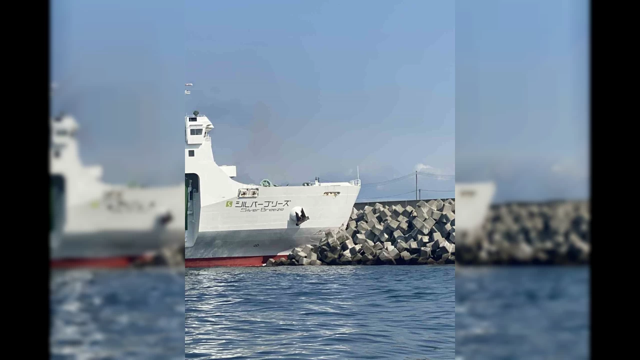 Japonya'da 140 kişiyi taşıyan feribot karaya oturdu