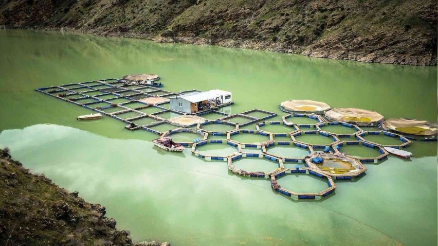 Kahramanmara�'ta su �r�nleri ihracat� art�yor