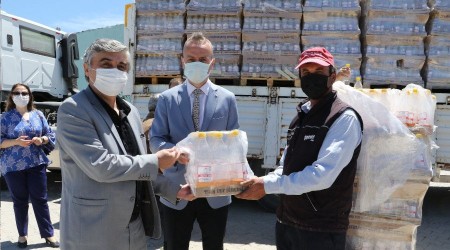 Kanadı noktalı sirke sineğine karşı biyoteknik mücadele