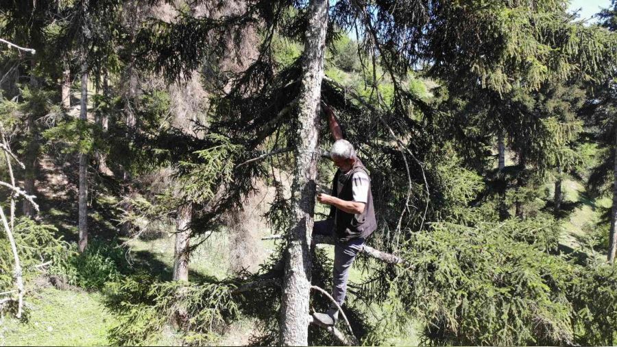 Kanser hastası eşinin tedavisi için sakız toplayıp satıyor