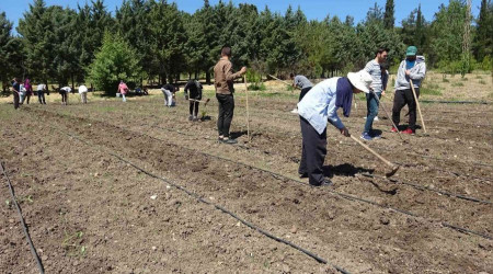 'Kapdaki gda krizi iin zm retimden geiyor'