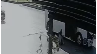Kaps ak hareket eden minibsten renci dt