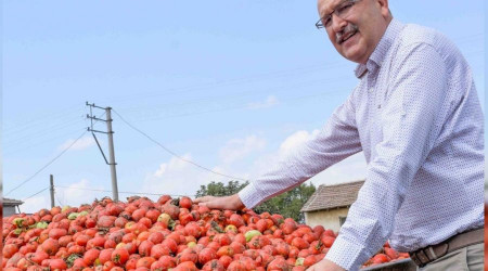 Karacabey'in 'kırmızı elmas'ına talep çok