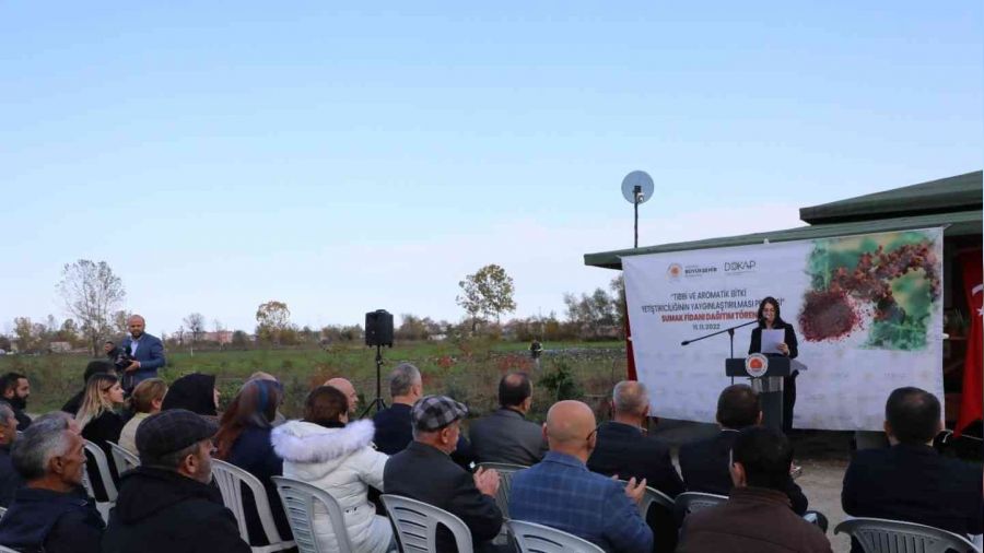 Karadeniz'in ilk 'sumak' baheleri Samsun'da kurulacak