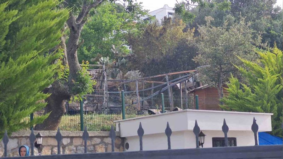 Karavanda yanarak can verdi