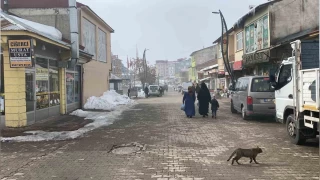 Karlıova'da eski kış aylarından eser yok