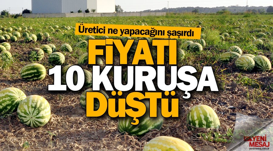 Karpuzun fiyat 10 kurua dt