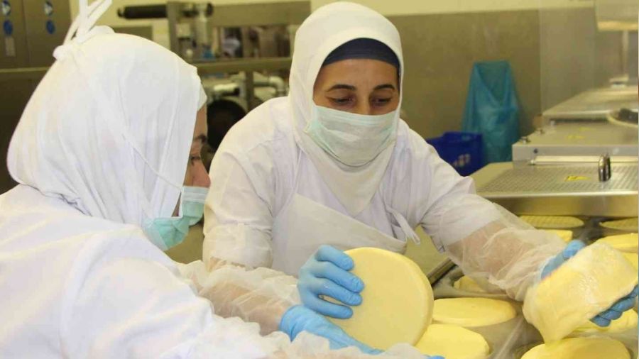 Kasım ayında fiyatı en fazla artan ürün tereyağı oldu