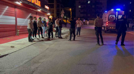 Kavgayı ayırmaya gelen polislere saldırdılar