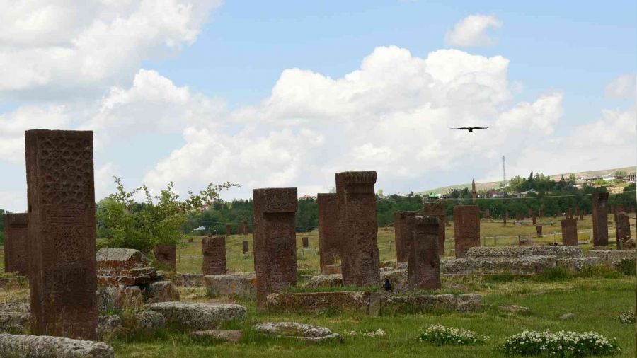 Kayıp olan 'Ahlat Tarihi' adlı kitabı bulup getirene 60 bin lira ödül