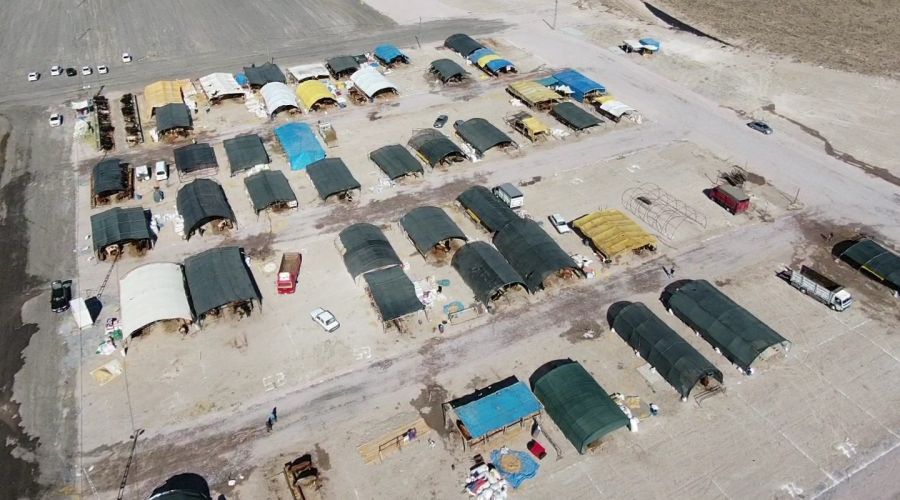 Kayseri'de kurban pazarı müşterilerini bekliyor