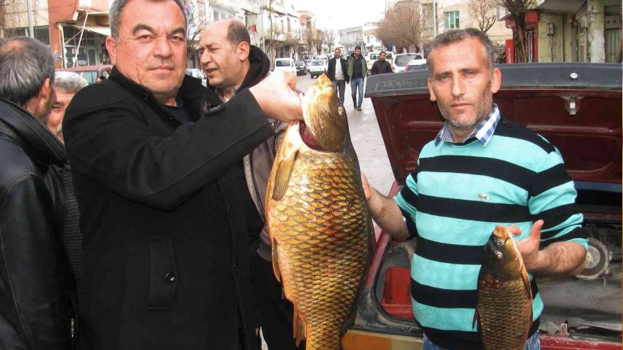 Kebap diyarında balık avlayarak geçiniyorlar 