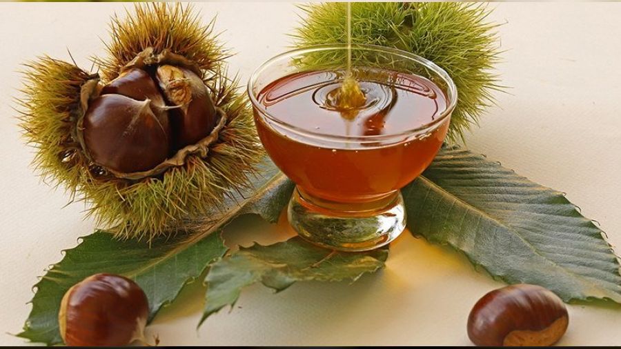 Kestane bal da iklim kurban