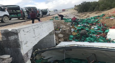 Kimseye sormadan alıp götürdüler