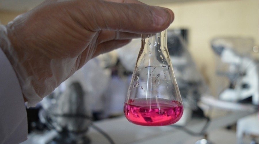 Kimya sektörü ihracatı yüzde 15,6 azaldı