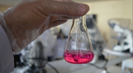 Kimya sektörü ihracatı yüzde 15,6 azaldı