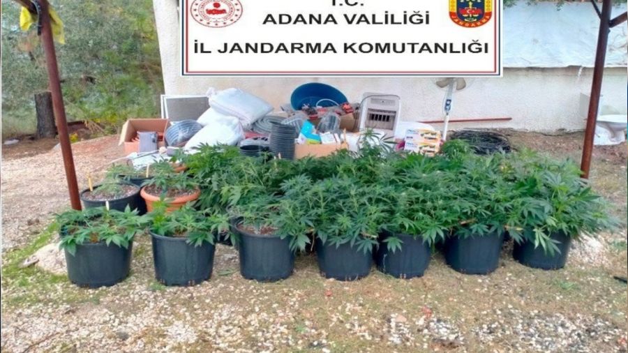 Kiraladıkları villada iklimlendirme sistemiyle kenevir yetiştirmişler