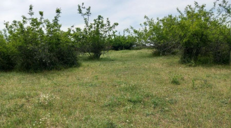 Kırklareli'nde çuval içerisinde ceset bulundu