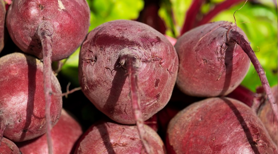 Krmz pancar kan temizliyor