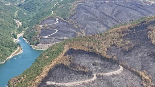 Kocaeli'de yangn sonras yrek burkan manzara