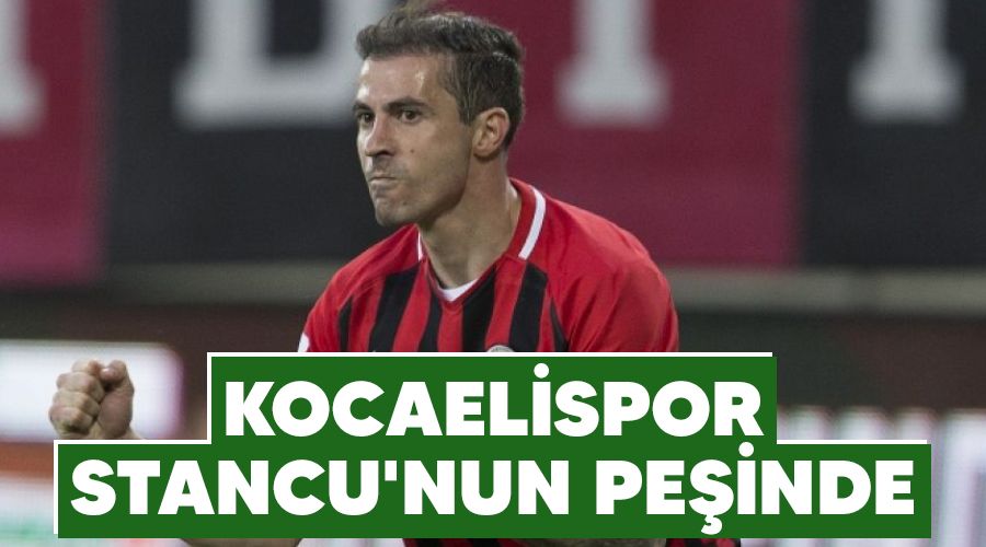 Kocaelispor Stancu'nun pe�inde 