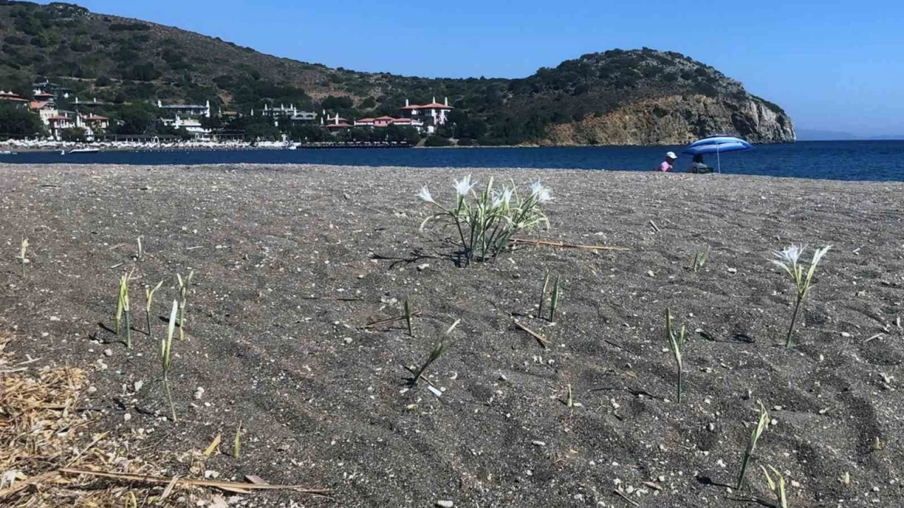 Koparman�n cezas�n� duyanlar yan�ndan ge�miyor