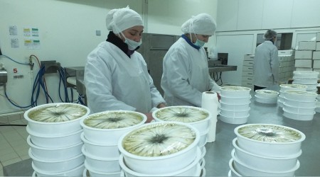 Korona virüsü donmuş su ürünlerine talebi artıracak