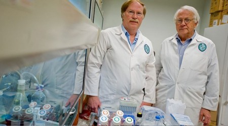  Koronavirsn kayna Vuhan deil!