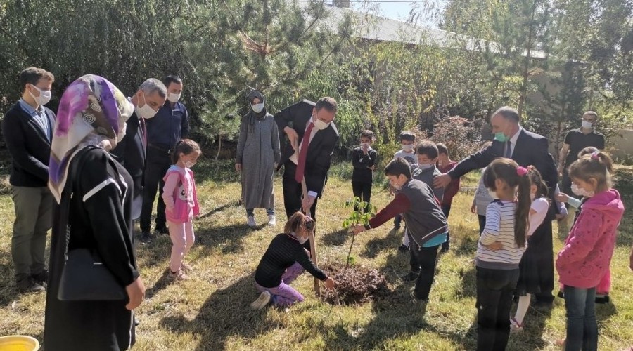 Köy okullarında meşe palamudu ile ceviz fidanı dikildi