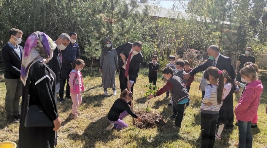 Ky okullarnda mee palamudu ile ceviz fidan dikildi