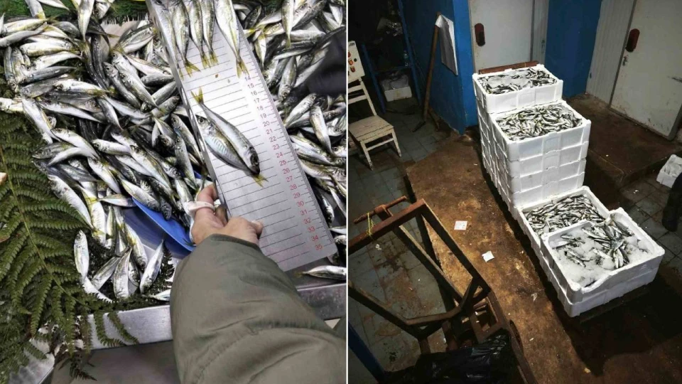 K���k boy bal�k sat��� yapan i� yerine ceza