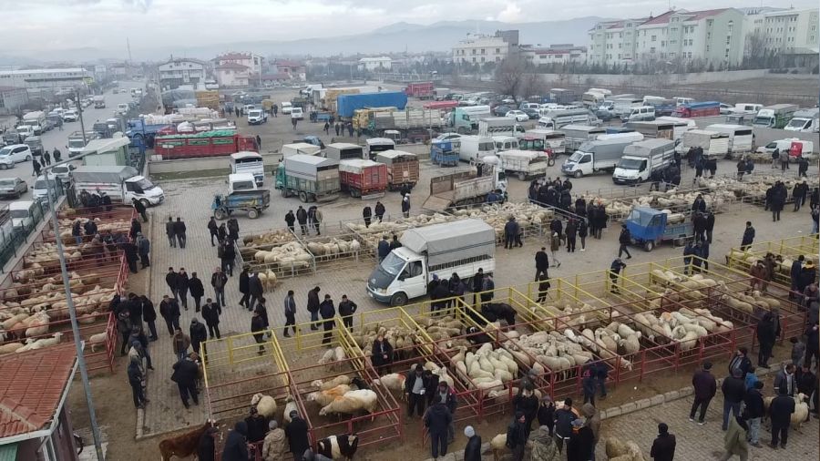 Kkba hayvan pazarnda alveriler hzland