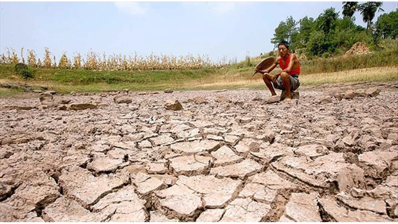  Kuraklk zellikle gda sektrn etkileyecek
