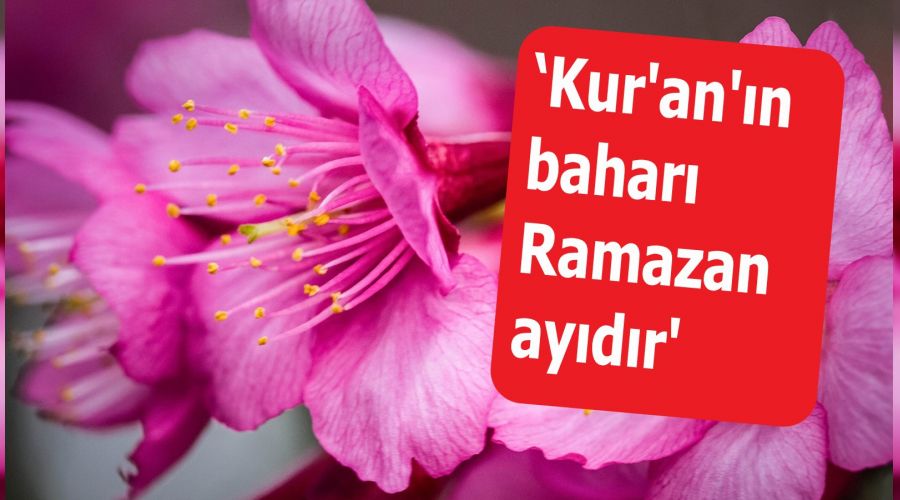 ‘Kur'an'ın baharı Ramazan ayıdır'