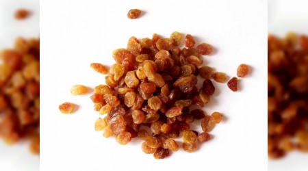 Kuru �z�mde ihracat artt�