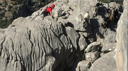 Mahsur kalan keçileri jandarma kurtardı