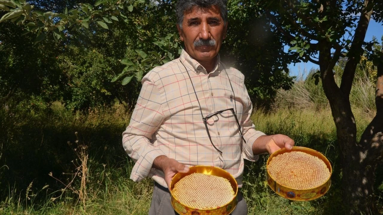 Malatya Arguvan'da bal hasad: 'ekerlenmi bal doaldr'